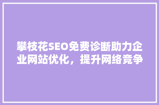 攀枝花SEO免费诊断助力企业网站优化，提升网络竞争力