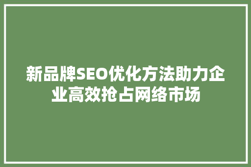 新品牌SEO优化方法助力企业高效抢占网络市场