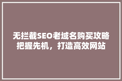 无拦截SEO老域名购买攻略把握先机，打造高效网站