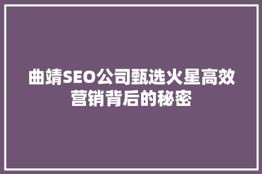 曲靖SEO公司甄选火星高效营销背后的秘密