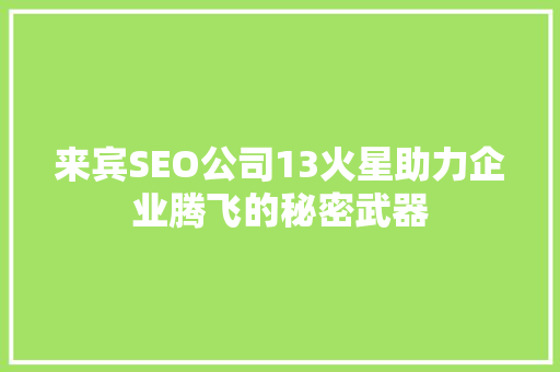 来宾SEO公司13火星助力企业腾飞的秘密武器