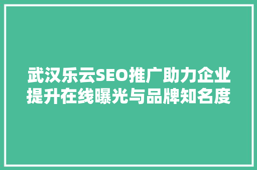 武汉乐云SEO推广助力企业提升在线曝光与品牌知名度
