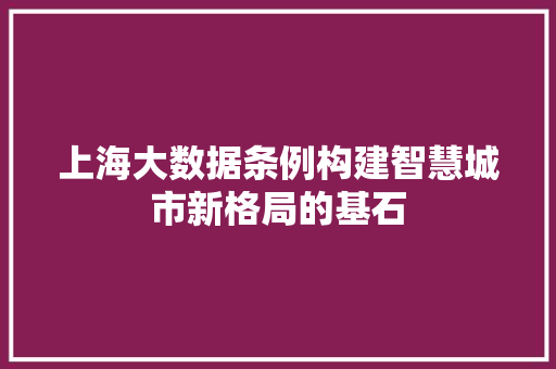 上海大数据条例构建智慧城市新格局的基石