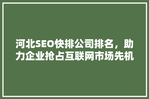 河北SEO快排公司排名，助力企业抢占互联网市场先机