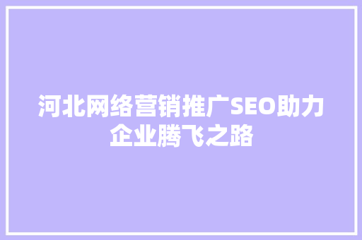 河北网络营销推广SEO助力企业腾飞之路