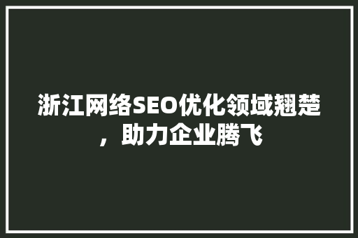 浙江网络SEO优化领域翘楚，助力企业腾飞