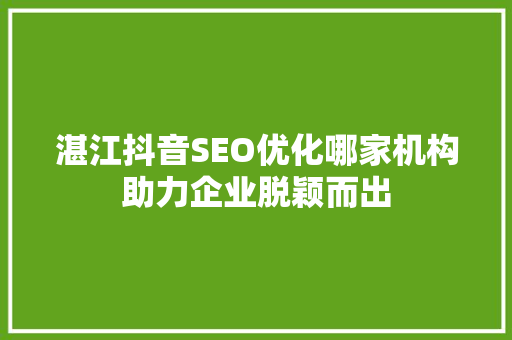 湛江抖音SEO优化哪家机构助力企业脱颖而出