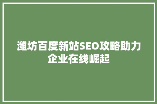 潍坊百度新站SEO攻略助力企业在线崛起