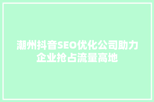 潮州抖音SEO优化公司助力企业抢占流量高地