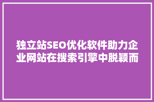 独立站SEO优化软件助力企业网站在搜索引擎中脱颖而出