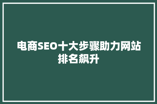 电商SEO十大步骤助力网站排名飙升