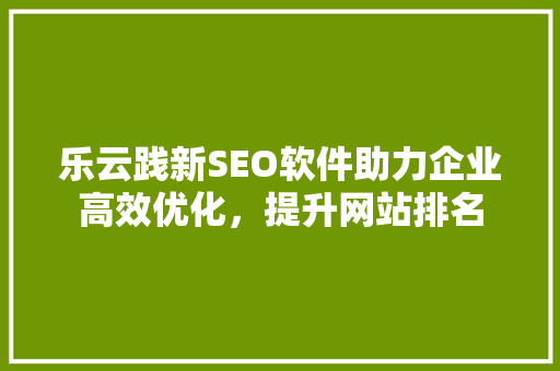 乐云践新SEO软件助力企业高效优化，提升网站排名