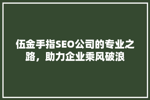伍金手指SEO公司的专业之路，助力企业乘风破浪