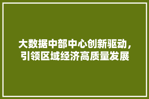 大数据中部中心创新驱动，引领区域经济高质量发展