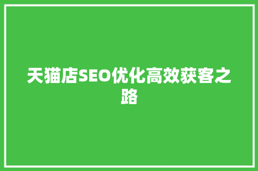 天猫店SEO优化高效获客之路