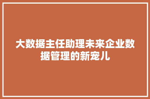 大数据主任助理未来企业数据管理的新宠儿  第1张