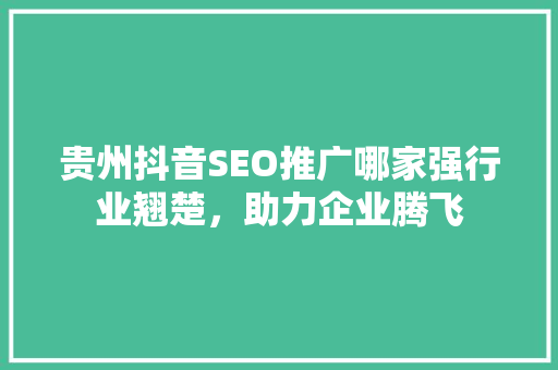 贵州抖音SEO推广哪家强行业翘楚，助力企业腾飞  第1张