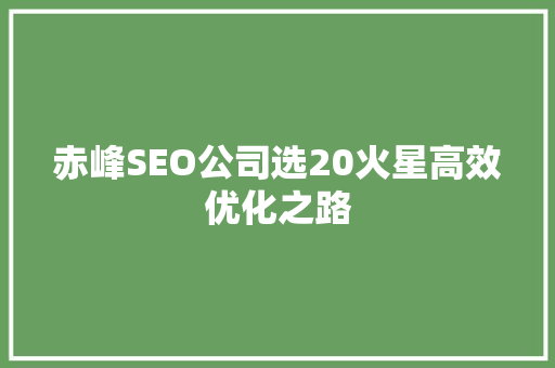 赤峰SEO公司选20火星高效优化之路