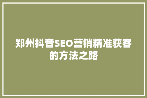 郑州抖音SEO营销精准获客的方法之路