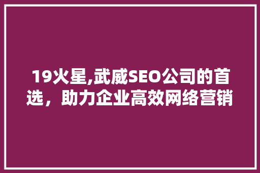 19火星,武威SEO公司的首选，助力企业高效网络营销