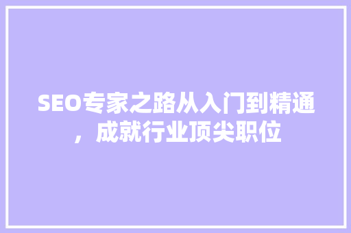 SEO专家之路从入门到精通，成就行业顶尖职位