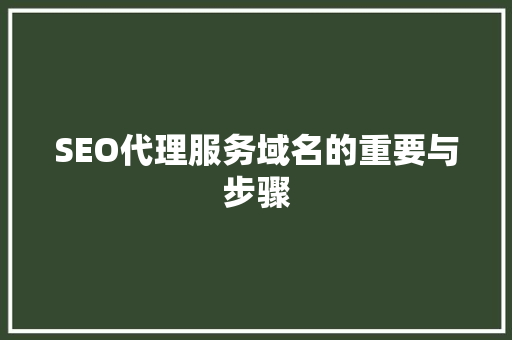 SEO代理服务域名的重要与步骤