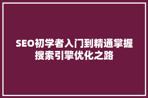 SEO初学者入门到精通掌握搜索引擎优化之路