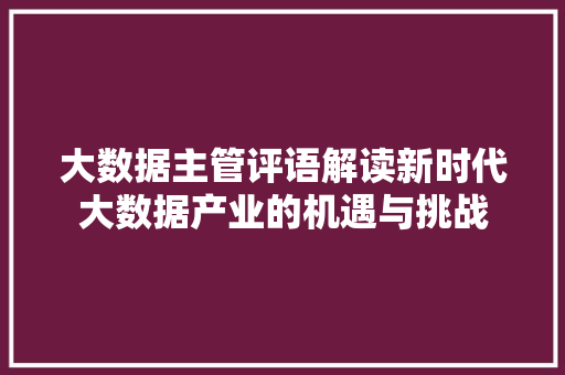 大数据主管评语解读新时代大数据产业的机遇与挑战