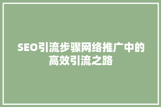 SEO引流步骤网络推广中的高效引流之路
