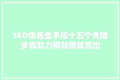 SEO排名金手指十五个关键步骤助力网站脱颖而出