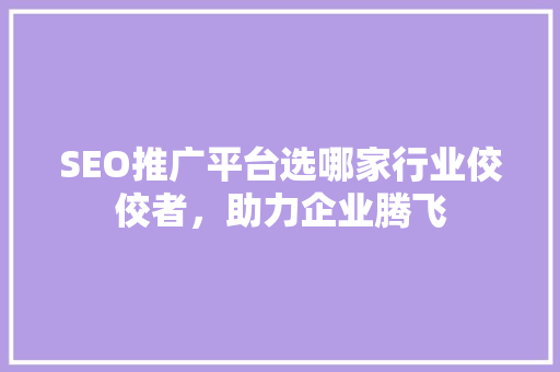 SEO推广平台选哪家行业佼佼者，助力企业腾飞