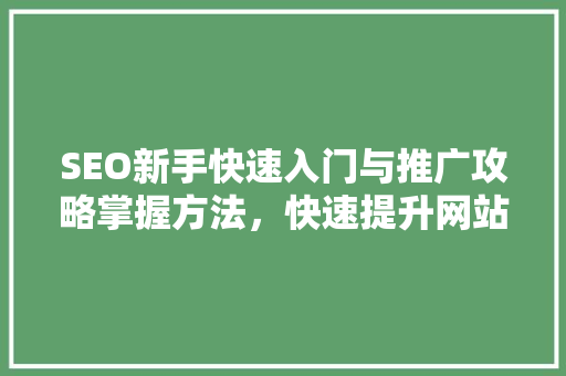 SEO新手快速入门与推广攻略掌握方法，快速提升网站排名