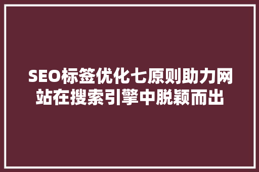 SEO标签优化七原则助力网站在搜索引擎中脱颖而出