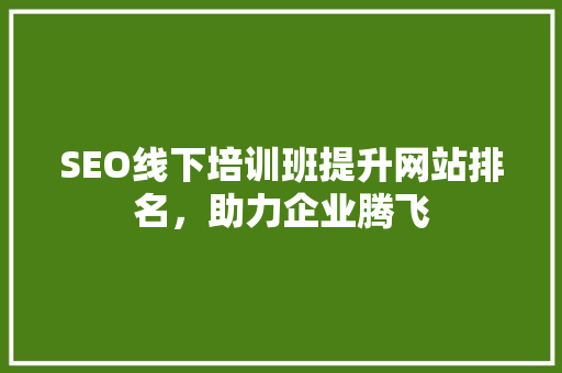 SEO线下培训班提升网站排名，助力企业腾飞