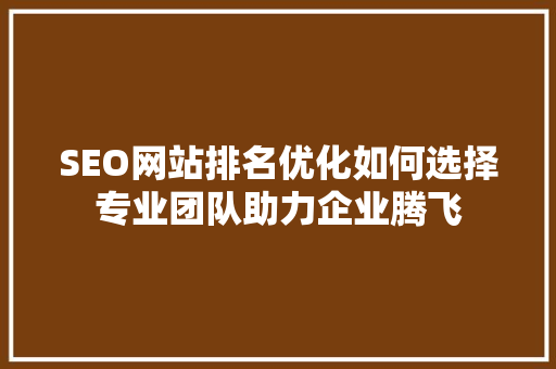 SEO网站排名优化如何选择专业团队助力企业腾飞
