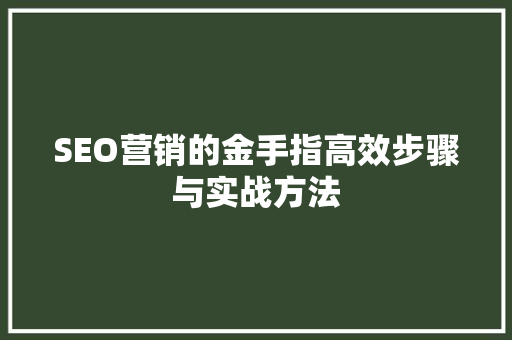 SEO营销的金手指高效步骤与实战方法