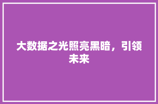 大数据之光照亮黑暗，引领未来