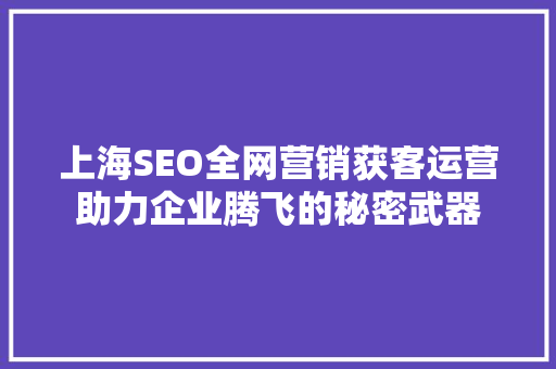 上海SEO全网营销获客运营助力企业腾飞的秘密武器