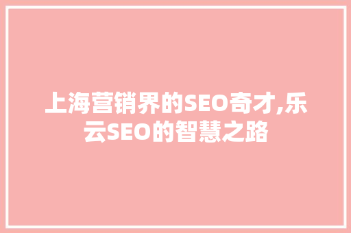 上海营销界的SEO奇才,乐云SEO的智慧之路  第1张