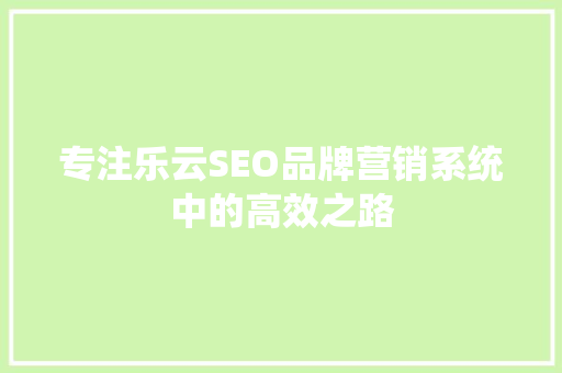 专注乐云SEO品牌营销系统中的高效之路