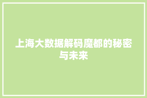 上海大数据解码魔都的秘密与未来
