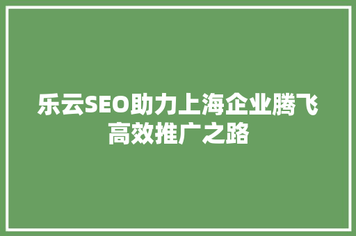 乐云SEO助力上海企业腾飞高效推广之路