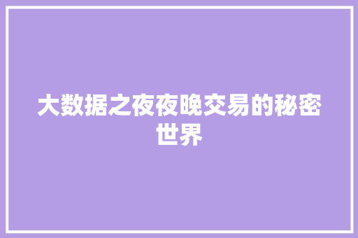 大数据之夜夜晚交易的秘密世界
