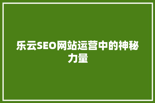 乐云SEO网站运营中的神秘力量