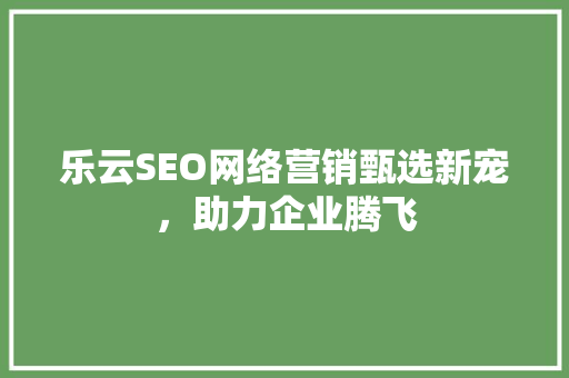 乐云SEO网络营销甄选新宠，助力企业腾飞