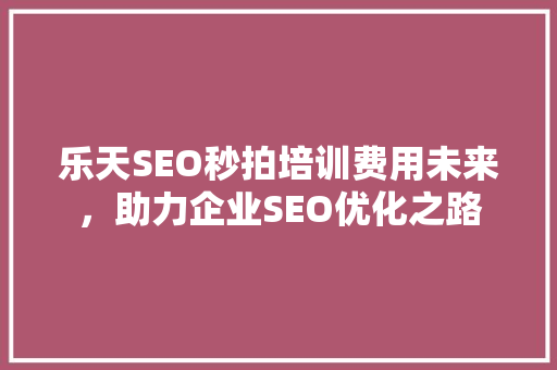 乐天SEO秒拍培训费用未来，助力企业SEO优化之路