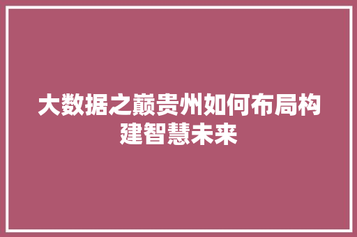 大数据之巅贵州如何布局构建智慧未来