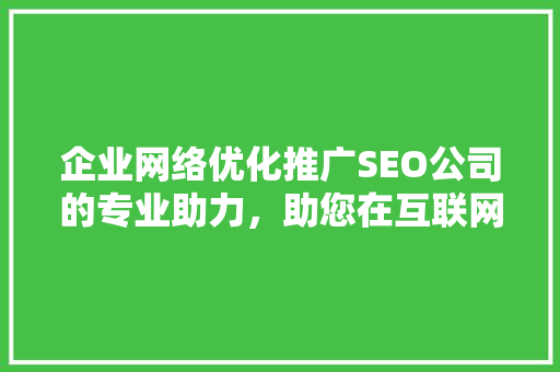 企业网络优化推广SEO公司的专业助力，助您在互联网时代脱颖而出