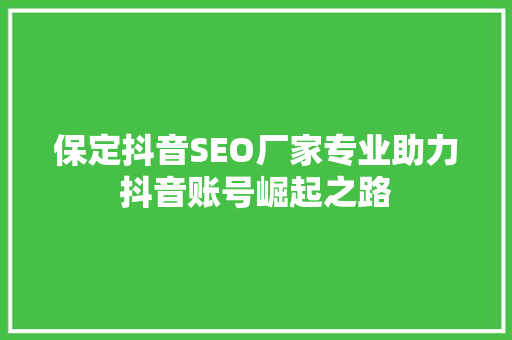 保定抖音SEO厂家专业助力抖音账号崛起之路