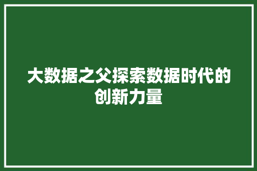 大数据之父探索数据时代的创新力量